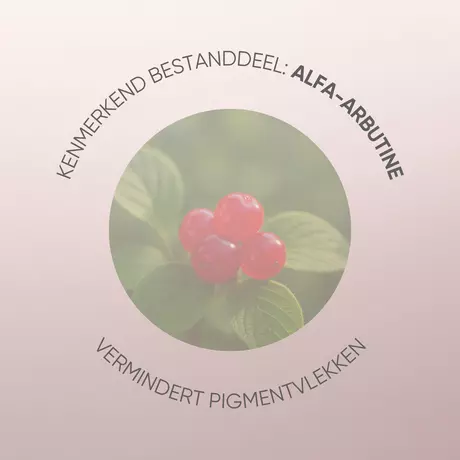 Louis Widmer nutriderm Pigmacare Nachtcrème Zonder Parfum 50 ML
