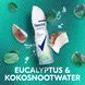 Rexona Women Cooling Eucalpyptus Deodorant Spray 150 ML