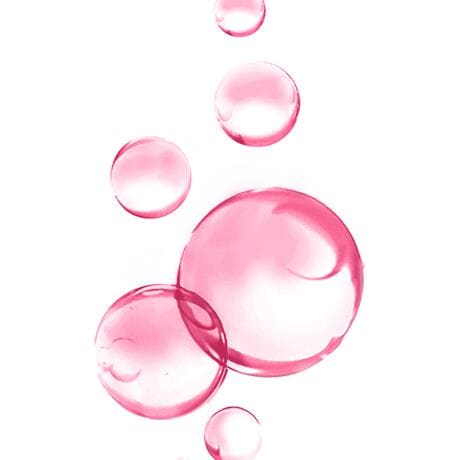 Garnier SkinActive Micellair Reinigingswater Droge Huid 400 ML