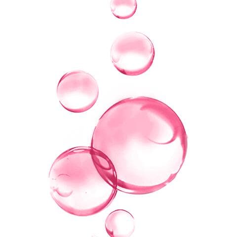 Garnier SkinActive Micellair Reinigingswater Droge Huid 400 ML