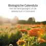 Weleda Calendula Baby Valuepack Shampoo & Douchecrème + Billenbalsem