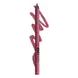 NYX Professional Makeup Line Loud Lip Liner 15 Goal Getter