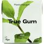 True Gum Mint Sugarfree