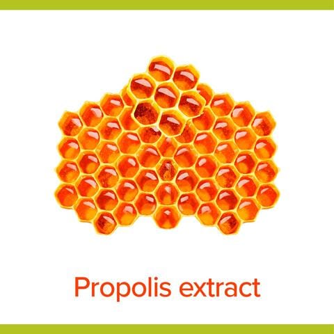 Palmolive Hygiëne Plus Family Antibacteriële Vloeibare Handzeep 300 ML