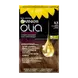 Garnier Olia Permanente Haarverf 5.3 Licht Goudbruin