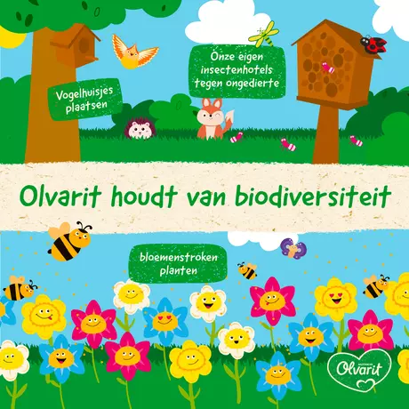 Olvarit Knijpfruit Peer Wortel Rode Biet 12+ Maanden 100 gram