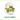 Palmolive Naturals Melk & Olijf Handzeep 300 ML