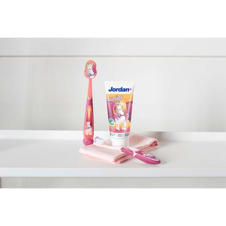 Jordan Step 3 (6-9 Jaar) + Premium