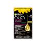 Garnier Olia Permanente Haarverf 3.0 Donkerbruin
