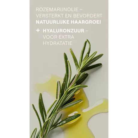 Weleda Rozemarijn Revitaliserende Shampoo 250 ML