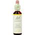 Bach Bloesem Essence Hornbeam 20 ML