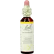 Bach Bloesem Essence Hornbeam&nbsp;20 ML