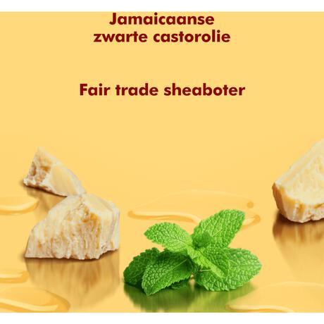 Shea Moisture Jamaican Black Castor Oil Shampoo 384 ML