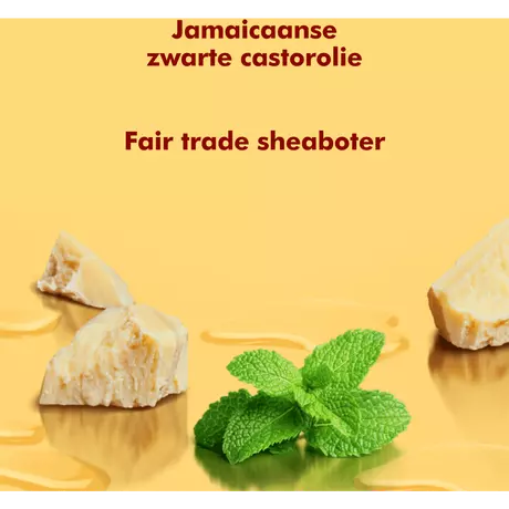 Shea Moisture Jamaican Black Castor Oil Shampoo 384 ML