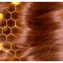 Garnier Loving Blends Honing Goud Voedende Crème 200 ML