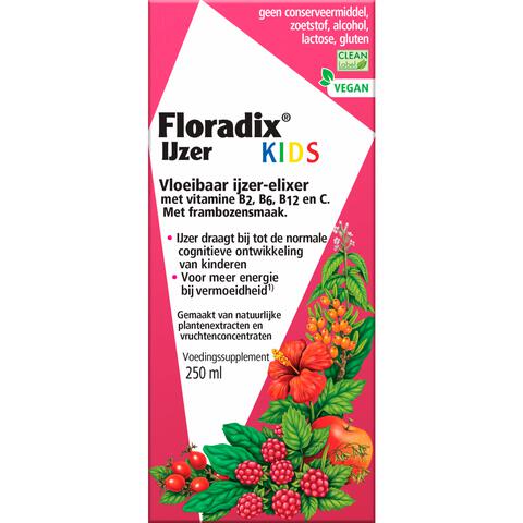 Salus Floradix Kids 250 ML