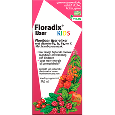 Salus Floradix Kids 250 ML