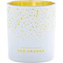 Ted Sparks Demi Candle Frankincense & Myrrh 