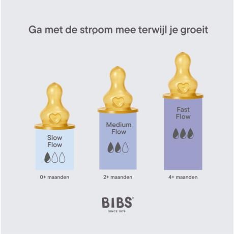 BIBS Babyfles 270 ML Sage met Latex speen en opvouwbaar trechtertje