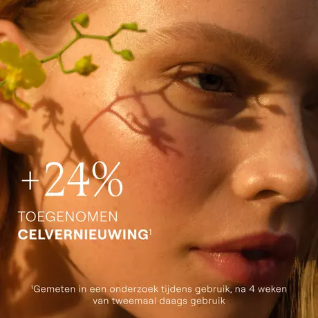 WELEDA Skin Food Voedende Nachtcrème 40 ML