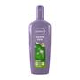 Andrélon Classic Iedere Dag Shampoo 300 ML