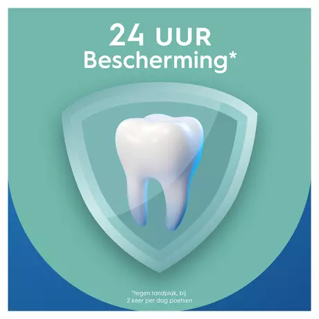 Oral-B Pro-Expert Frisse Adem Tandpasta 75 ML
