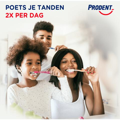 Prodent Cool Mint Tandpasta 75 ML