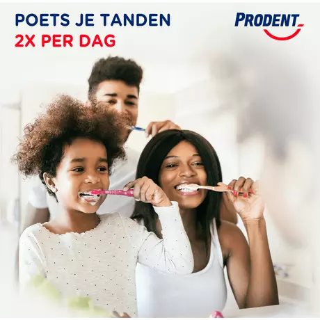 Prodent Cool Mint Tandpasta 75 ML