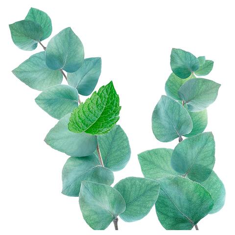 Kneipp Refreshing Badschuim 400 ML