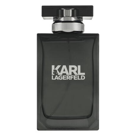 Karl Lagerfeld pour Homme eau de toilette 100 ML