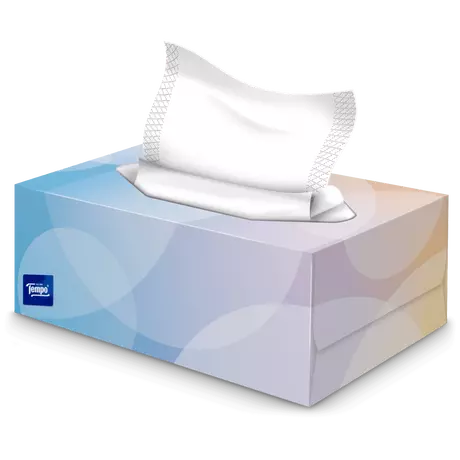 Tempo Everyday XXL Light box 3-Laags Tissues 140 stuks