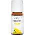 Jacob Hooy Essentiële Olie Citroen 10 ML