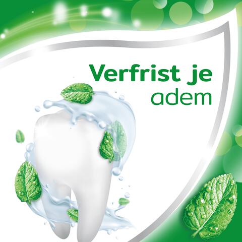 Aquafresh Anti Cariës Tandpasta 75 ML