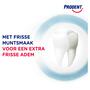 Prodent Fresh Gel Tandpasta 75 ML