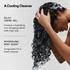 Olaplex No. 4 Bond Shaper Hydrating Curl Shampoo 250 Ml