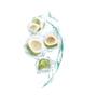 Garnier Skinactive Hydra Bomb Oog Sheet Masker Kokosnoot