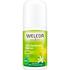 Weleda Citrus 24H Deodorant Roller 50 ML