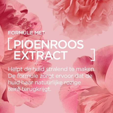 L'Oréal Paris Age Perfect Golden Age Dagcrème SPF20 50 ML