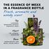 Mexx Man Eau De Toilette 50 ML