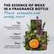 Mexx Man Eau De Toilette 50 ML