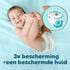 Pampers Premium Protection Pants Luierbroekjes Maat 4 9-15 KG 19 Stuks