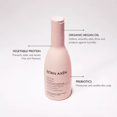 Bjorn Axen Anti-Frizz Shampoo 250 ML