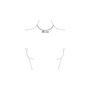 BiSjU Jewellery Ketting Met Sterretjes Silver Stainless Steel
