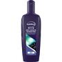 Andrélon Men Anti-roos & Intens Fris Shampoo 300 ML