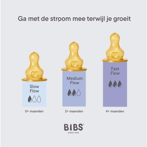 Bibs Bottle Nipple Flesspeen Medium Flow&nbsp; 2 pack