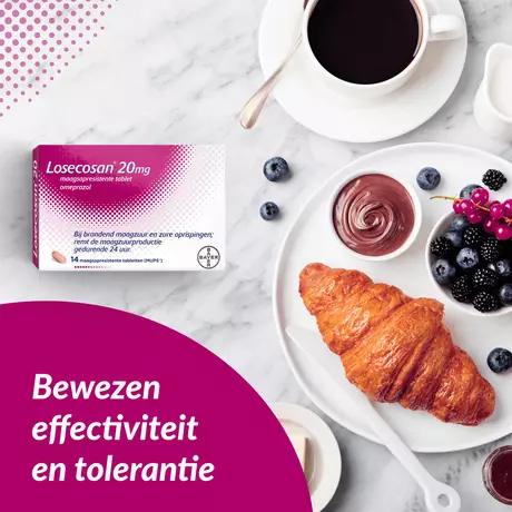 Losecosan Tegen Terugkomend Brandend Maagzuur Tabletten 14 stuks
