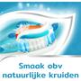 Aquafresh Coolmint Tandpasta 5-pack 