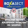 Roxasect Spuitbus Kruipende Insecten en Wespen 400 ML