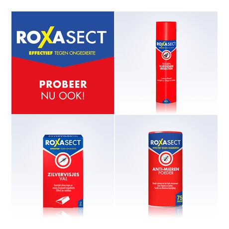 Roxasect Spuitbus Kruipende Insecten en Wespen 400 ML