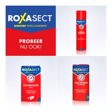 Roxasect Spuitbus Tegen Kruipende Insecten en Wespen 400 ML